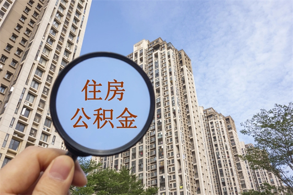 沧州辞职可以取住房公积金吗（我辞职了可以提取住房公积金吗）